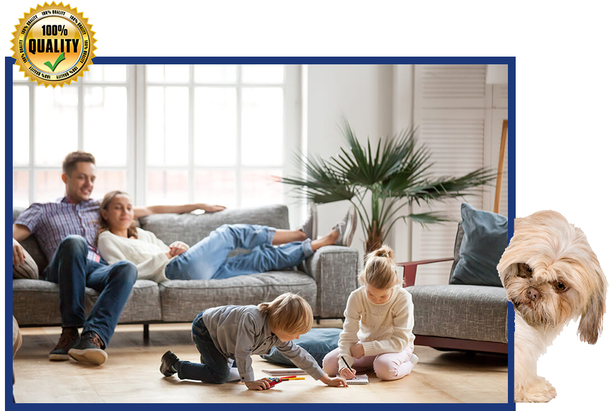 Carpet Cleaning Stafford TX Benefits Of Eco-Friendly Cleaning